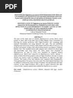 Download Identifikasi Staphylococcus Aureus Penyebab Mastitis Dengan Uji Fermentasi Mannitol Dan Deteksi p by Nita Yesita SN142585498 doc pdf