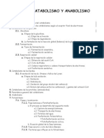 Catabolismo y anabolismo: glucólisis, respiración y fermentación