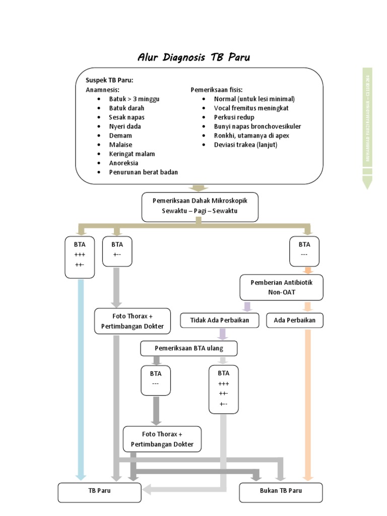 Alur Diagnosis TB Paru