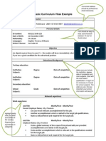 Basic Curriculum Vitae Example