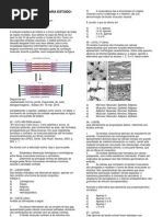 Lista de exercícios para terceirão - 2