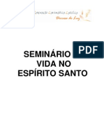 25833612 Seminario de Vida No Espirito Santo SVE COMPLETO