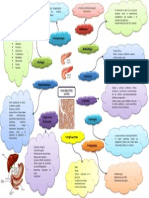 Pancreatitis Aguda