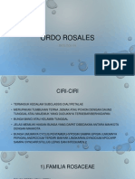 Ordo Rosales