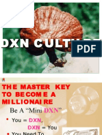 DXN Culture