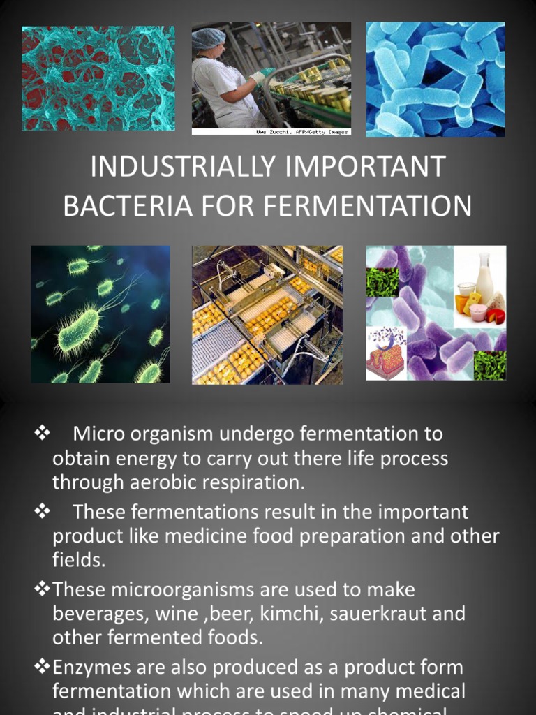 Industrially Important Microorganisms Industrial Microbiology Lec.2