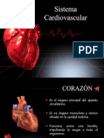 Sistema Cardiovascular