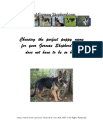 German Shepherd Names