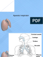 Aparatul Respirator