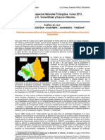 Análisis de Caso - RBOAY - Peru - Modulo - 3 - 2013 - LESM PDF