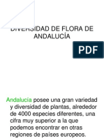 Diversidad de Flora de Andaluc