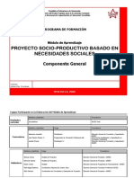 Programa Proyecto Socioproductivo CORREGIDO