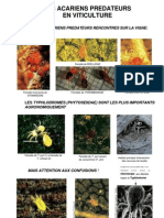 Acariens Predateurs Fichephyto Cle0c13e6 PDF