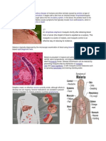 Mosquito-Borne Infectious Disease Protists Circulatory System Fever Headache Coma Death