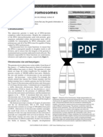 Eukaryotic Chromosomes PDF