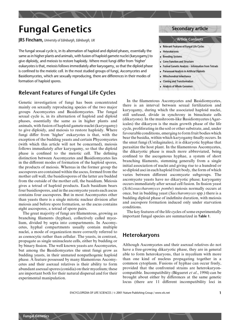 Fungal Genetics PDF PDF Meiosis Molecular Cloning