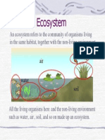 Ecosystem