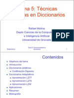 05 DICCIONARIOSx2.pdf