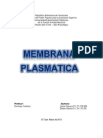 Trabajo de La Membrana Plasmatica