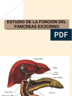 Pancreas Exocrino