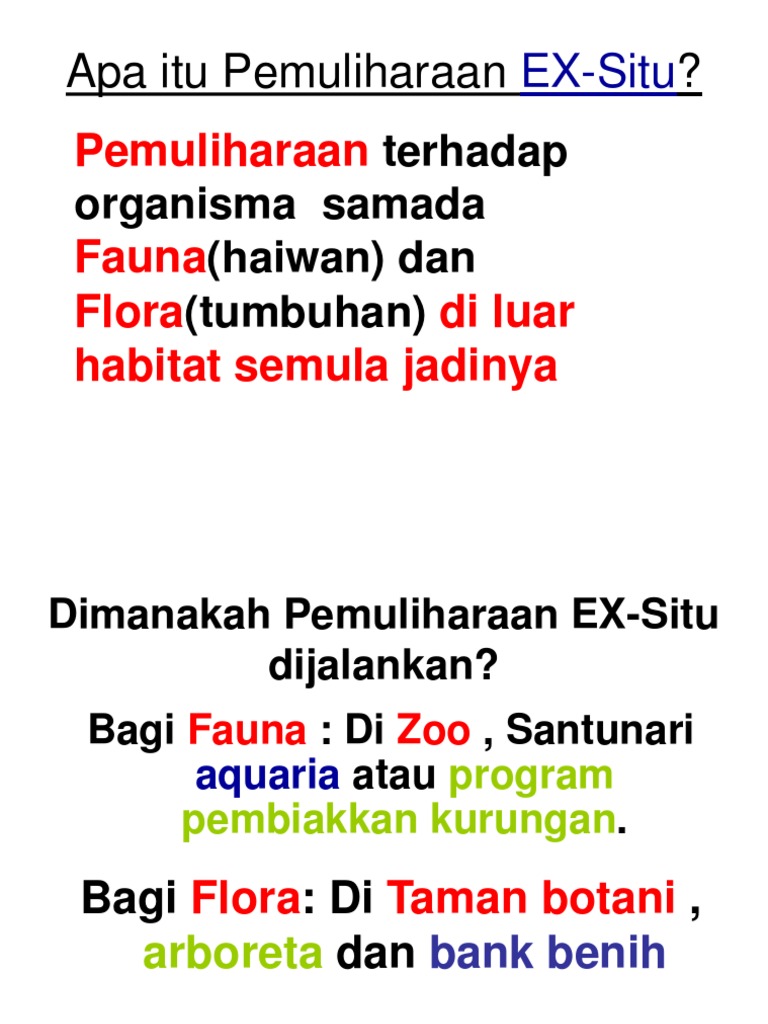 Ex Situ Pdf