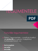 tegumente