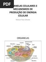 3 - INTRODUÇÃO A BIOLOGIA - ORGANELAS CELULARES E MECANISMOS DE PRODUÇÃO DE ENERGIA CELULAR