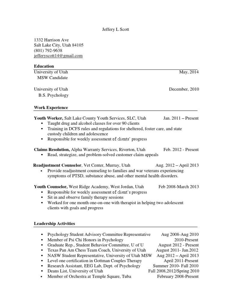 Current Business and MSW Resume 2013 | PDF