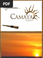 Download REDISCOVERING LIFE  CAMAYA COAST  BATAAN CITY 0097RBC Mariveles  wwwbethfs8sulitcomph    httpsulitcomph1287399 by bethfs8 SN14284228 doc pdf