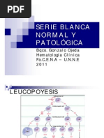 517678628.LEUCOCITO 1