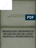 Produccion de Caña de Azucar A Nivel Nacional 22