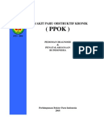 ppok.pdf