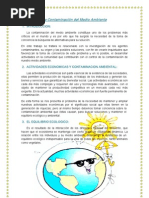 CONTAMINACION AMBIENTAL_
