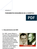 Unidad 4 Fundamentos Bioquimicos de La Genetica