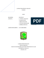 Download Laporan Praktikum Ekologi Suksesi by Fithria Diniyati SN142904367 doc pdf