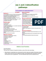 Liver phases 1 and 2 detoxification pathways and symptoms of dysfunction