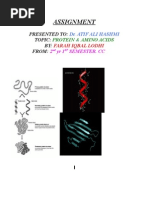 Download amino acid by  LODHI by armaan hussain SN14291769 doc pdf