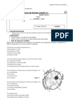 469 - Guía Evaluada de Núcleo Celular para Segundo Medio 2012