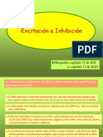 Excitacion e Inhibicion Neuronal