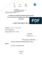 Caiet Practica.pdf