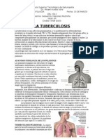 LA TUBERCULOSIS.doc