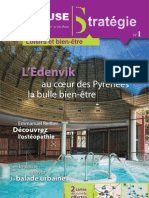 Toulouse_Strategie_01ok.pdf