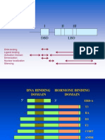 I II III: DNA Binding Ligand Binding Activation Domain Dimerization Nuclear Localization Silencing