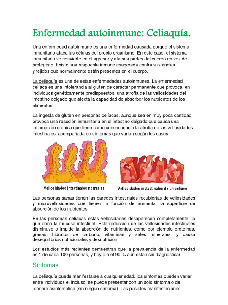 Enfermedad Autoinmune Enfermedad Celiaca Enfermedad Autoinmune