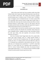 Download Referat Pneumonia by Kayleigh_Seraphina SN142986663 doc pdf