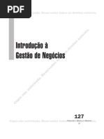 Introducao Gestao Negocios