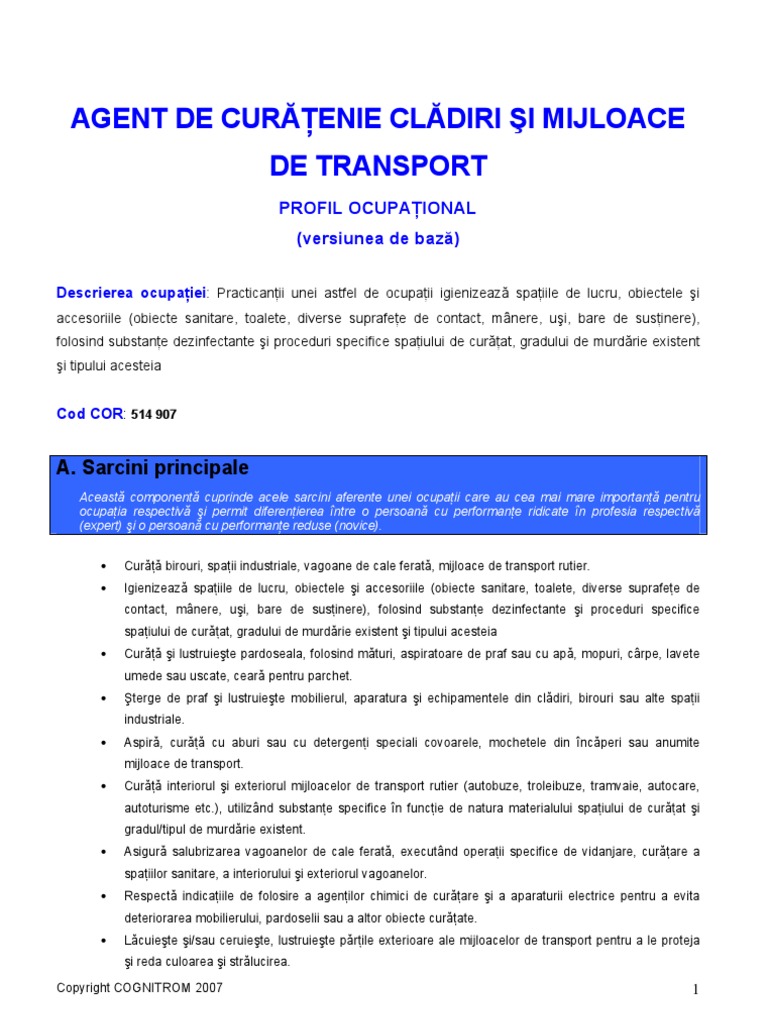 Standard Ocupational Agent Curatenie PDF PDF