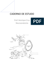 Caderno de Estudo - Neuro