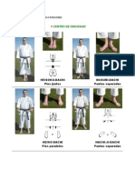 5 Karate Shotokan Dachi o Posiciones