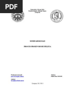 Download Seminarski Pelet by Bojan Kovacki SN143100549 doc pdf